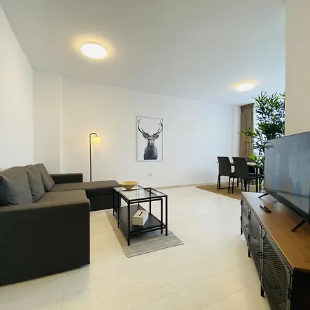 Apartment Sunny Brasov
